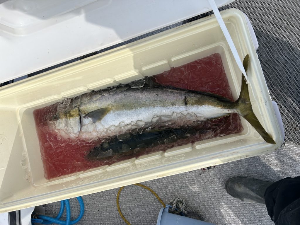 すみのすけ様のレポート