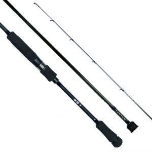 LESTER 紫焔（シエン） | アレス（ARES）| エギング・アジング