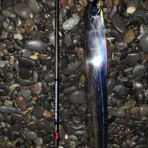 無限流様のレポート