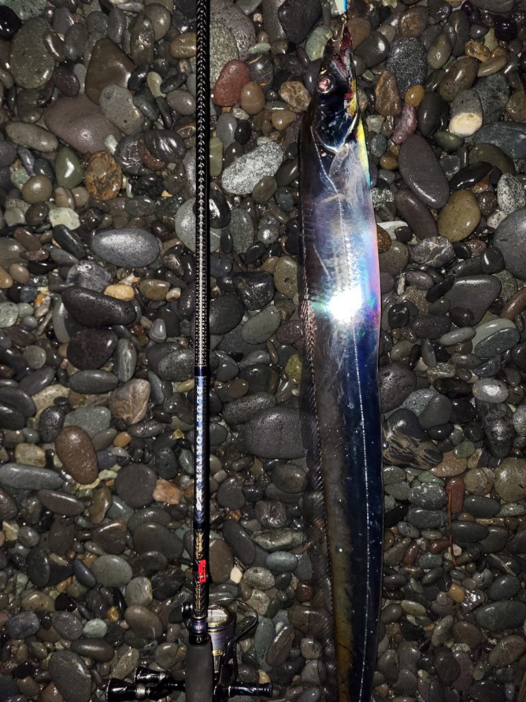 無限流様のレポート