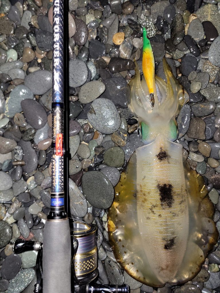 無限流様のレポート