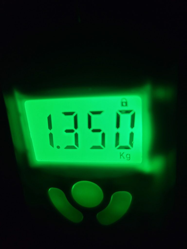 無限流様のレポート