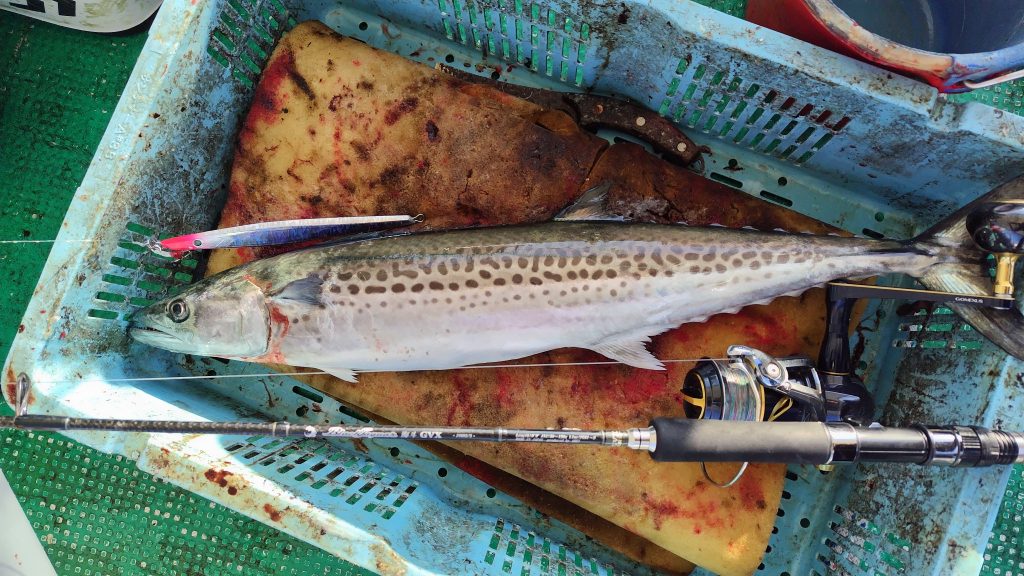 T&A前田慎悟様のレポート