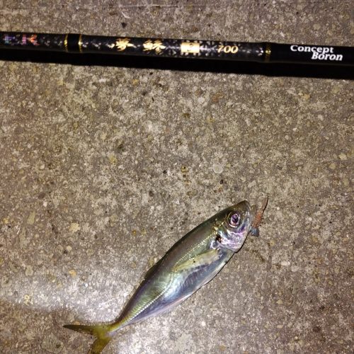 T&A前田慎悟様のレポート