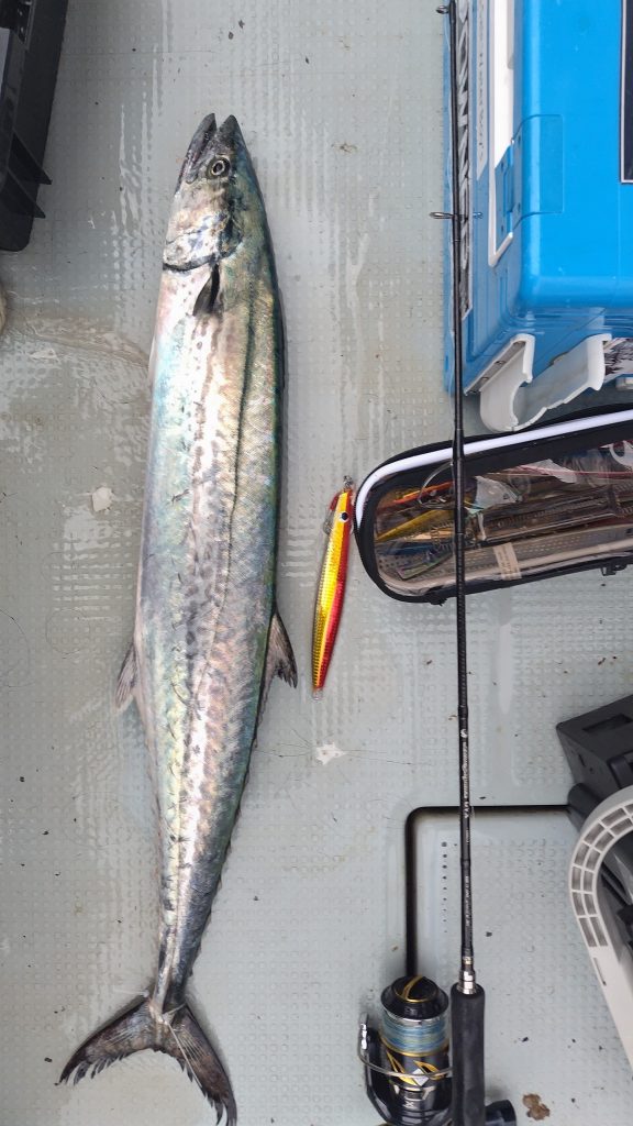 T&A前田慎悟様のレポート