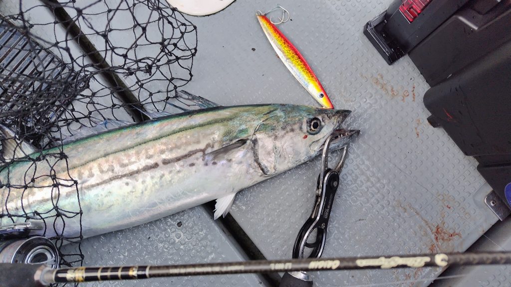 T&A前田慎悟様のレポート