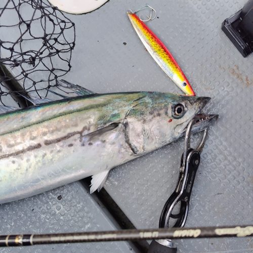 T&A前田慎悟様のレポート