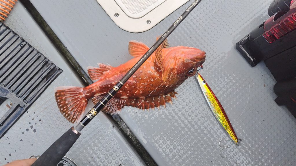 T&A前田慎悟様のレポート