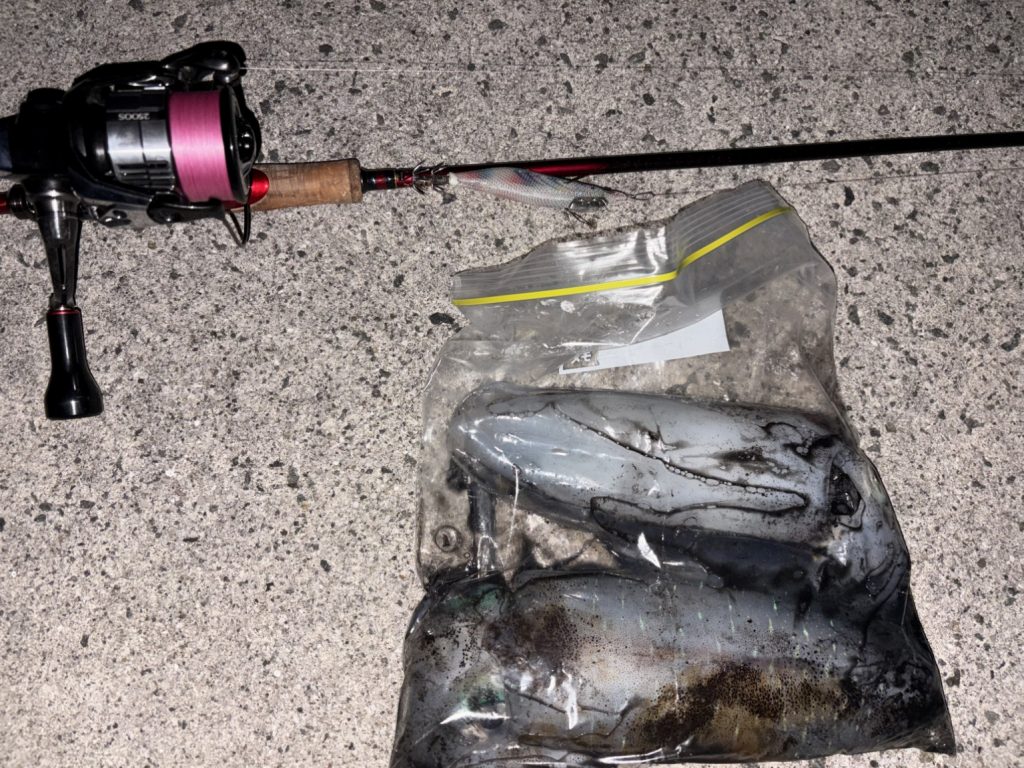 吉武洋平様のレポート