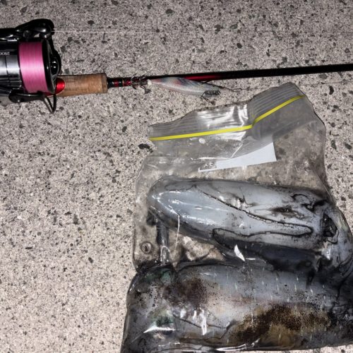 吉武洋平様のレポート