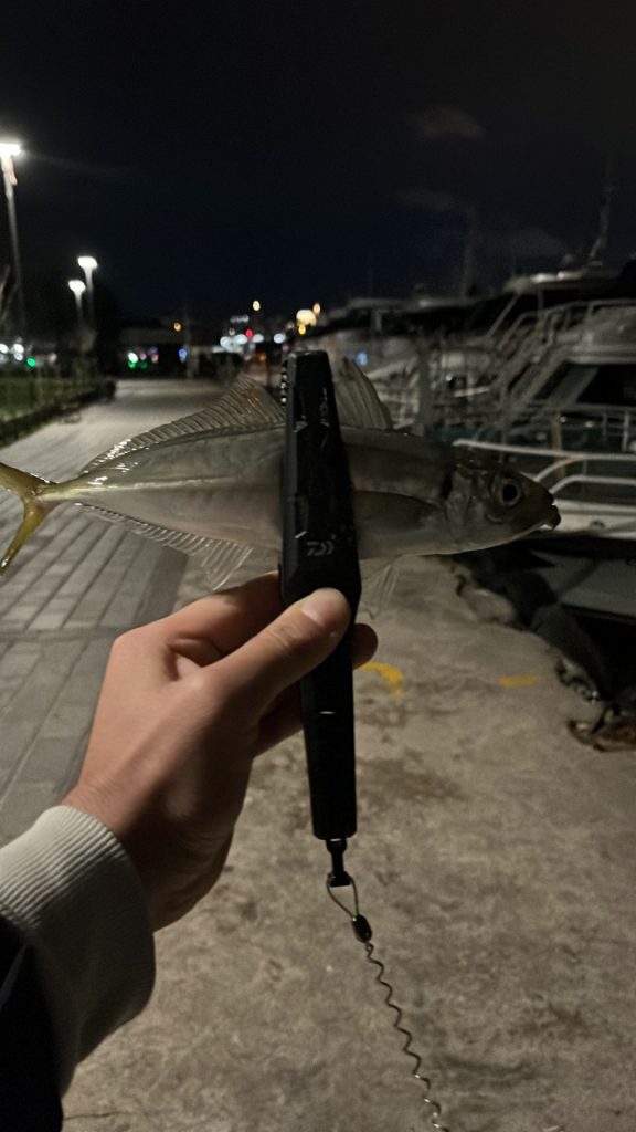 Levent Karakoç様のレポート