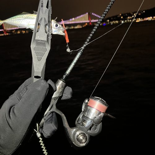 Levent Karakoç様のレポート