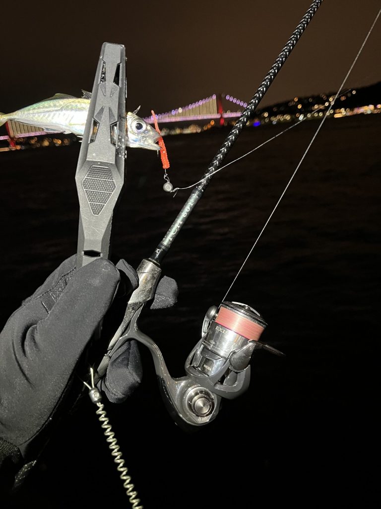 Levent Karakoç様のレポート