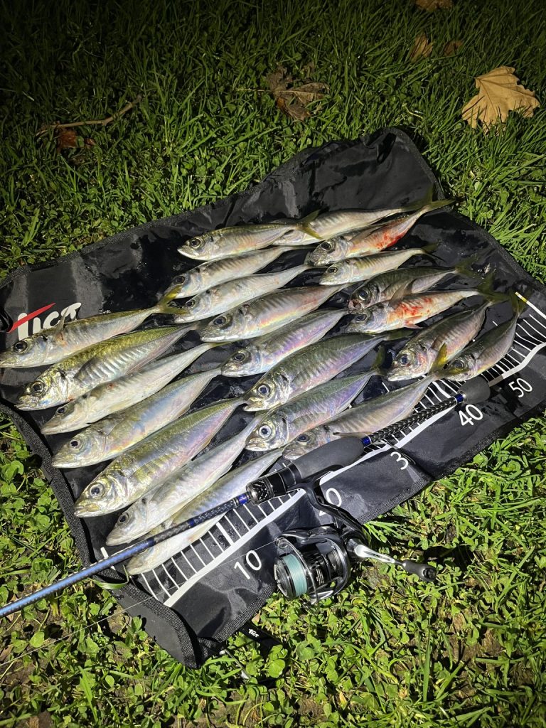 Levent Karakoç様のレポート