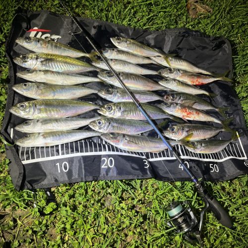 Levent Karakoç様のレポート