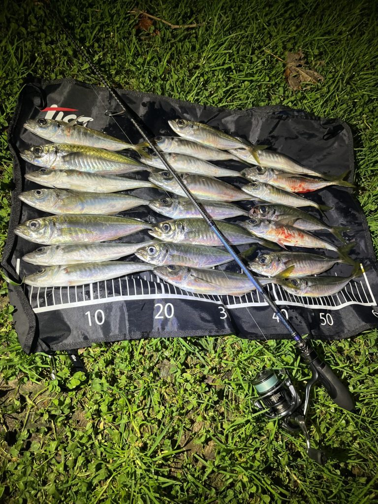 Levent Karakoç様のレポート