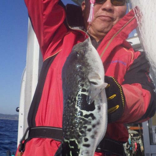 T＆A白澤政記様のレポート