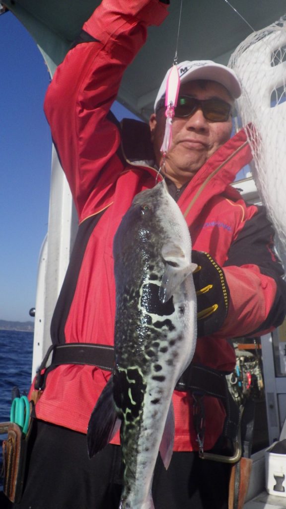 T＆A白澤政記様のレポート