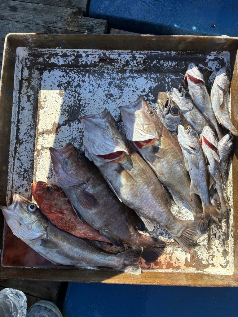 T＆A白澤政記様のレポート