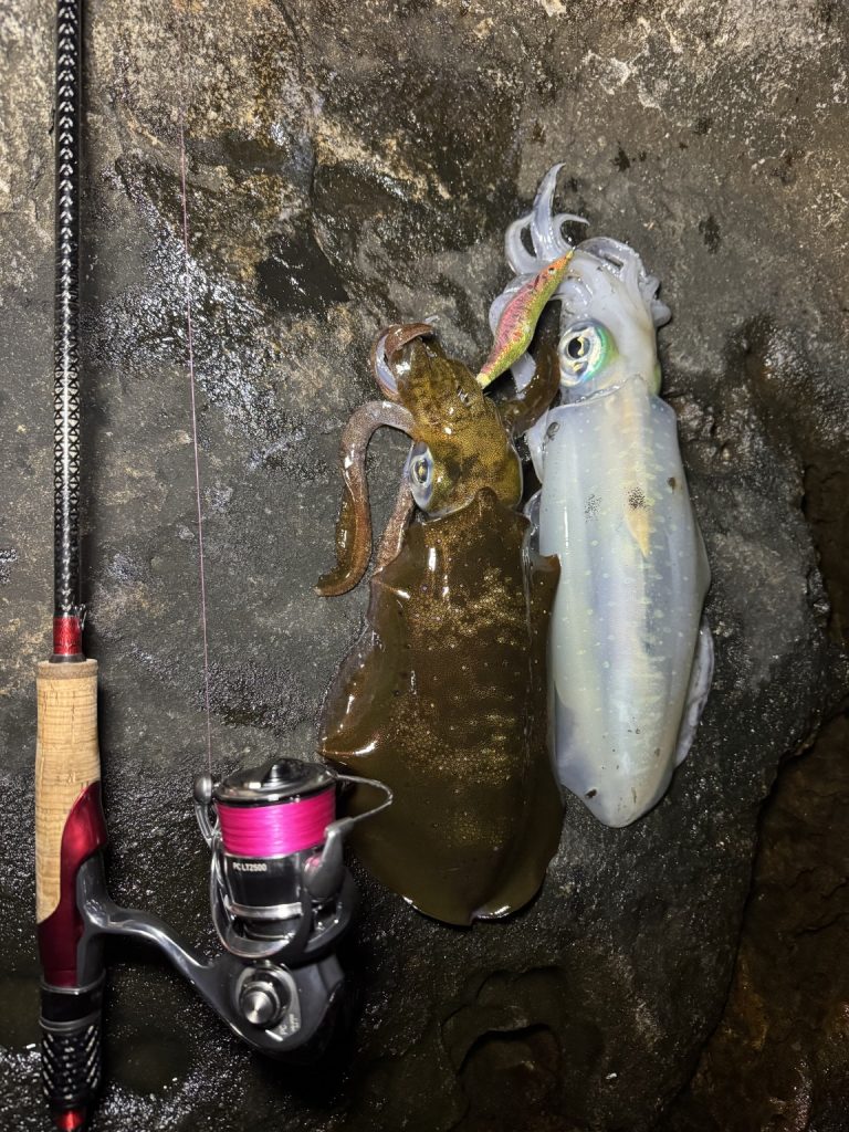 西本晃生様のレポート