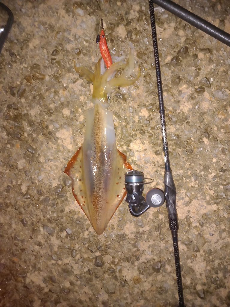 Paolo Gavazzeni様のレポート