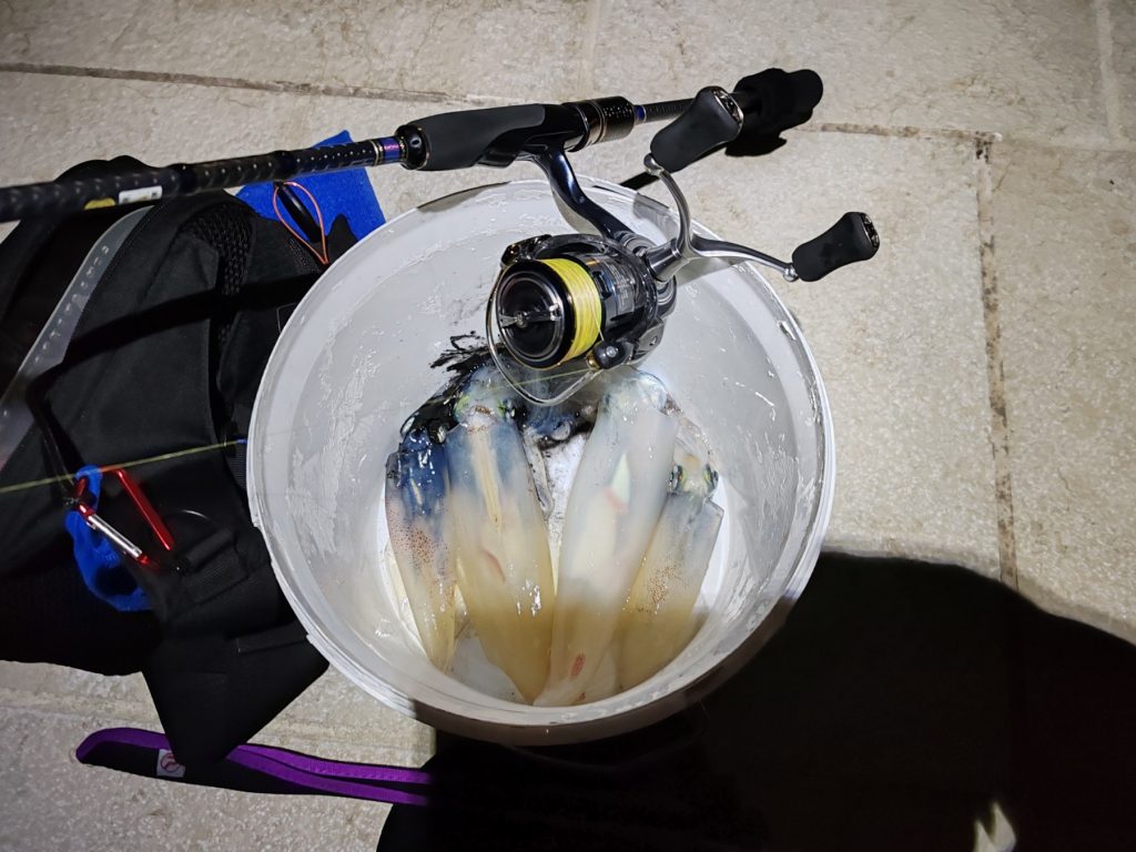 Tetka様のレポート