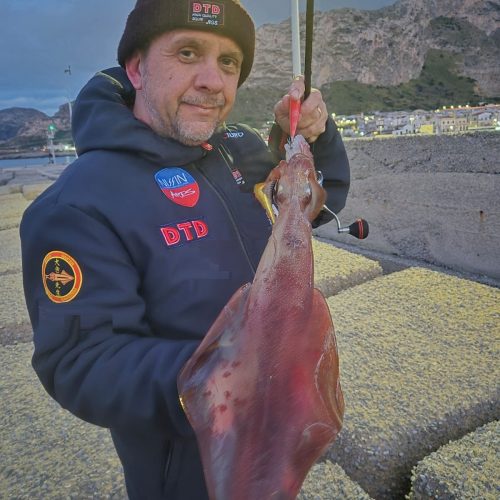 Eging Guru 様のレポート