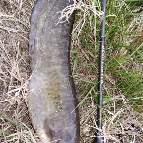 T&A前田慎悟様のレポート