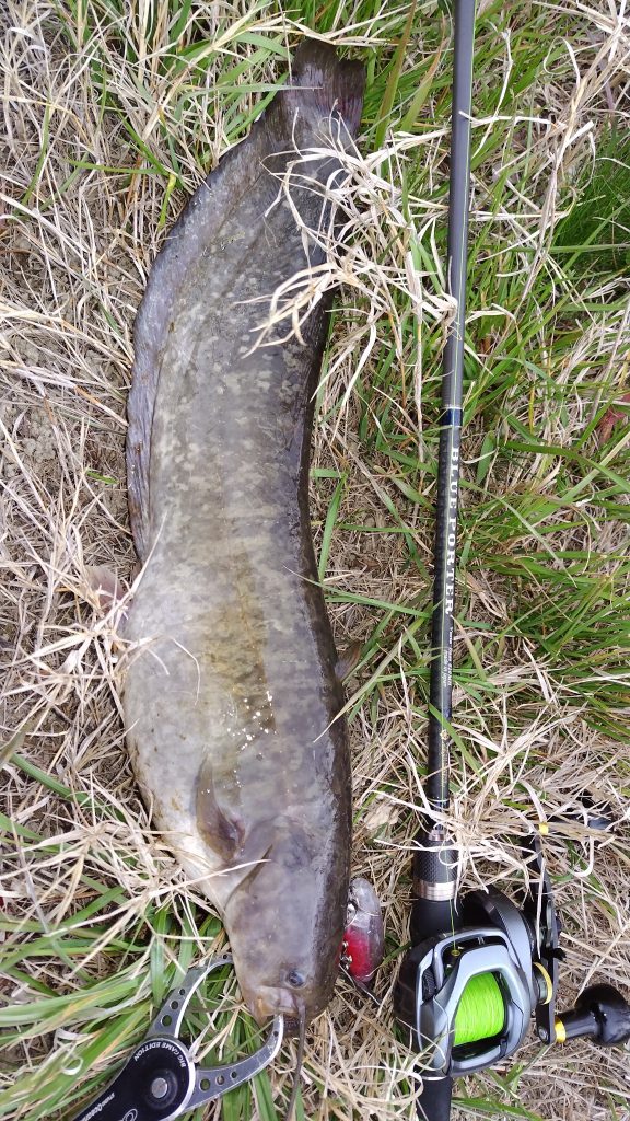 T&A前田慎悟様のレポート