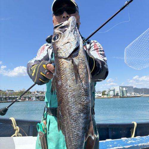 T＆A白澤政記様のレポート